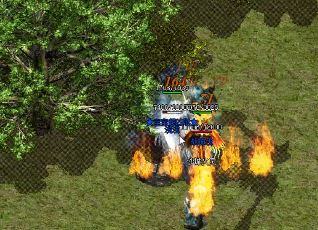 䴫վ˽(ұؿȫ³Խվߣ߸飡)