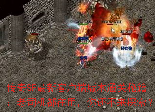 SF¿ͻ˰汾ͨؼ˾ã㻹̽