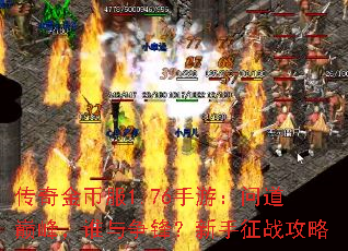 ҷ1.76Σʵ۷壬˭棿ս