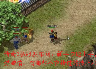 3˽ֿ֣ȼ飬Щݴļɺظ