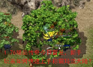1.76Ʒ׷οֳư귨½