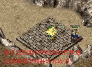 ¿ﵰ˽οٻȡϡгﲢս