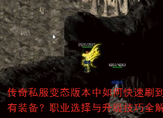 ˽̬汾οˢϡװְҵѡȫ