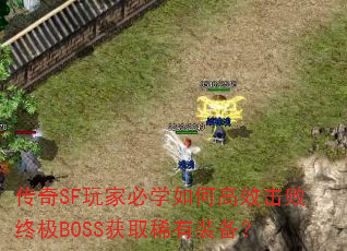 SFұѧθЧռBOSSȡϡװ