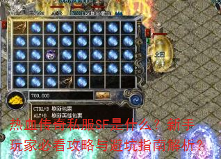 Ѫ˽SFʲôұؿָܿϽ